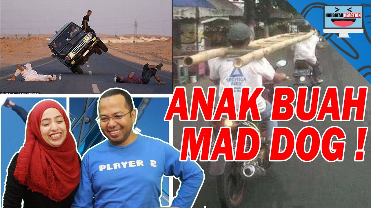 27 FOTO LUCU ANAK BUAH MADDOG YouTube