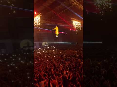 Yo Yo Honey Singh Millionaire Tour Mumbai 2025 Yoyohoneysingh Concert Shorts