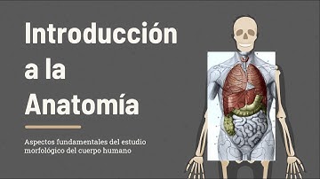 Introducción a la Anatomía Humana - Chukuta-Med Oficial en colaboración  con Los Linces de Anatomía