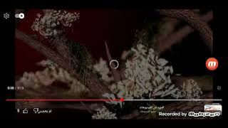 فاصل قناة الحياة 2014 2015