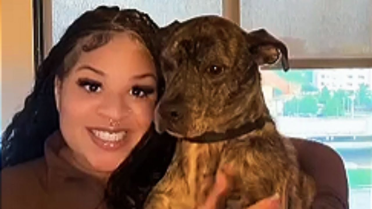 Rescue Pup Started Talking, Her Words Changed Everything