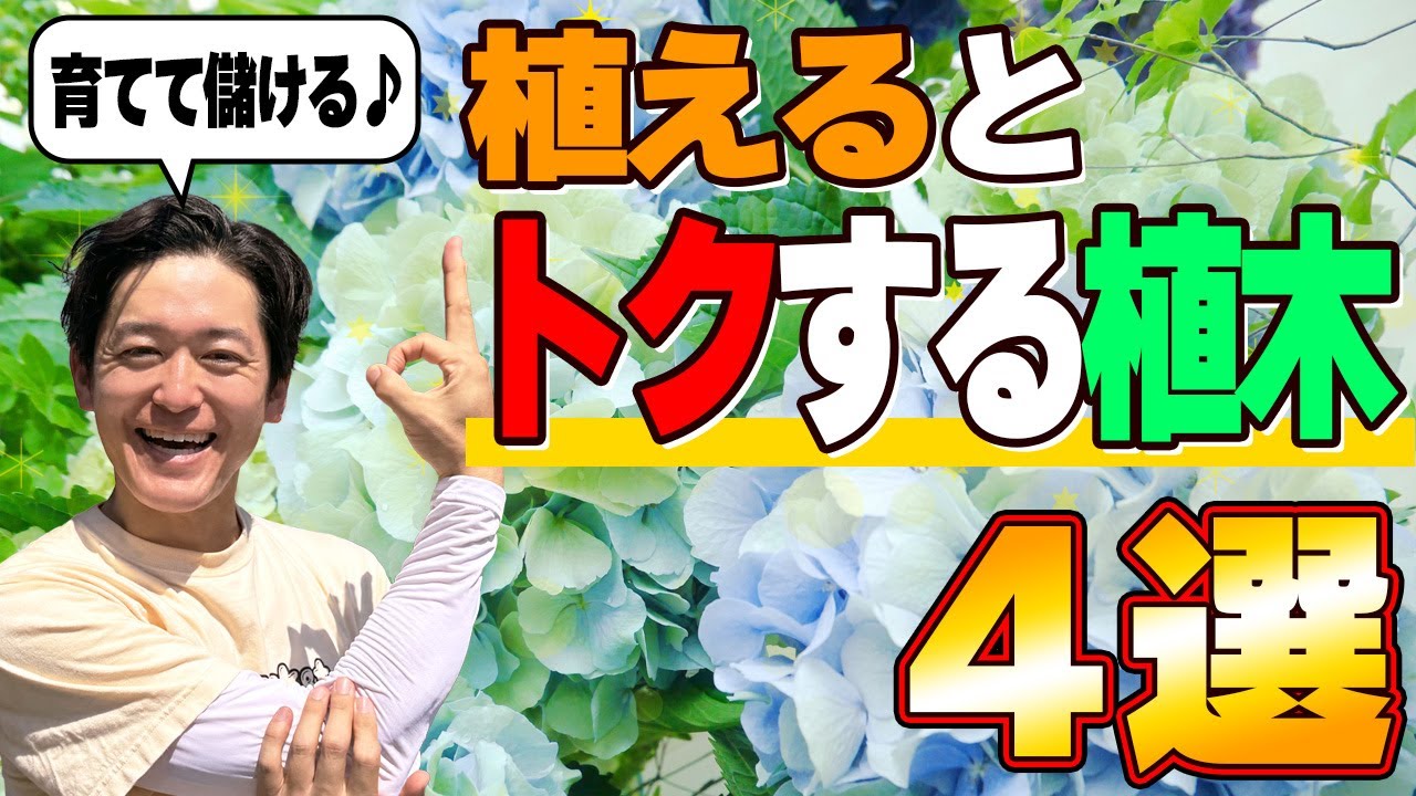 自己主張する植物 Do not misuse] 4 plants that will make you money just by planting
