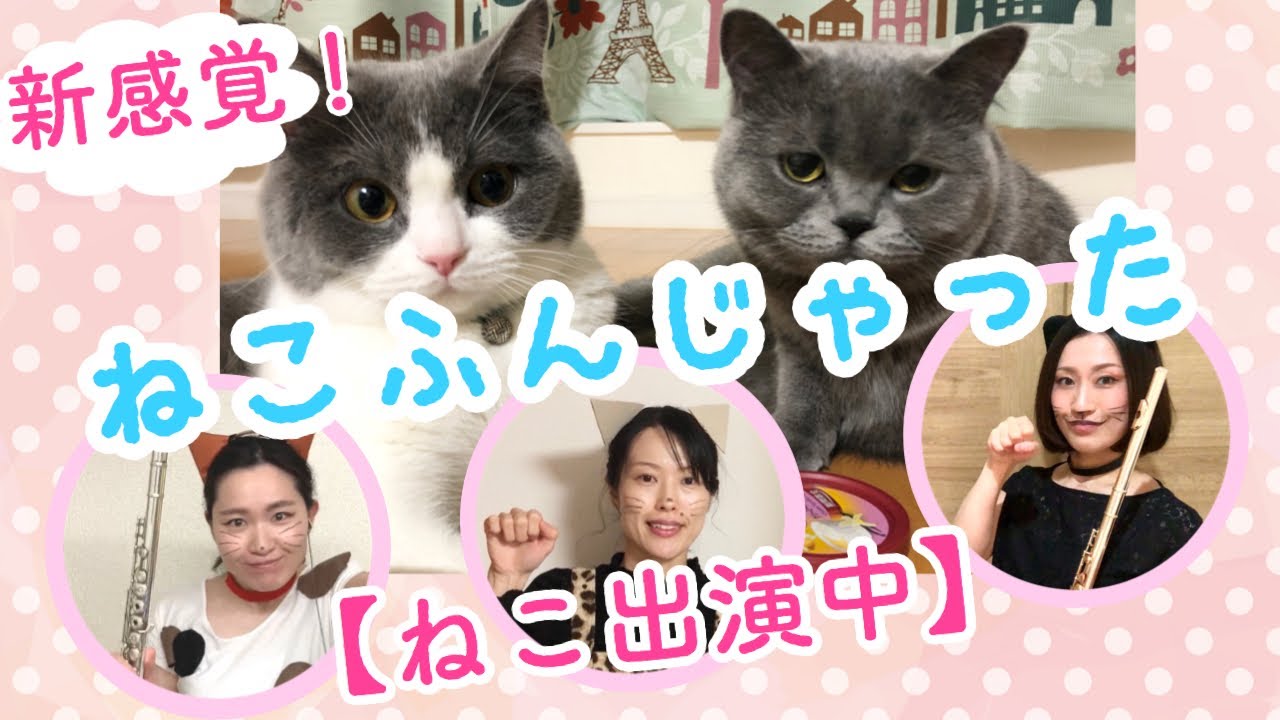 フルート】ねこふんじゃったのオリジナルVariations🐈 【FluteDuo +