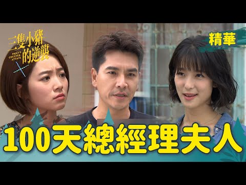 【三隻小豬的逆襲】EP15 給你100天表現！總經理夫人就給你當！【 Piggy's Counterattack】