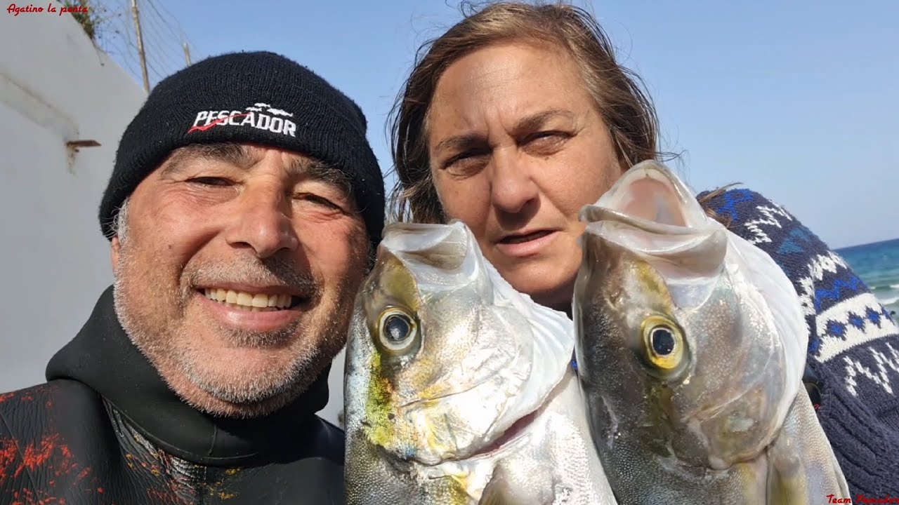 Sua Maestà La Ricciola . Abitudini Ed Esche Preferite - Foto 10