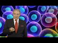 Longevity TV Episodio 1 "Generación joven" Español