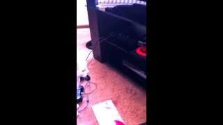 Cat attacking the dvd player