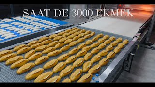 Amasya Merzi̇fon Meksan Ekmek Fabri̇kasi Saate 3000 Ekmek Kapasi̇tesi̇