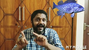 Field and Forest IV th std E V S chapter one