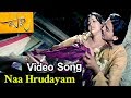 Naa Hrudayam Video Song |  Paata Movie | Madhusudhan | Jyothika Krishna | Poonam Singar | MTC
