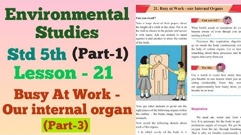 5th. EVS1. Lesson 21. (Part.3) Busy at Work - Our Internal Organs
