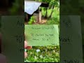 Can You Solve This in 5 Seconds? 🔢 #MathChallenge #Shorts #shortvideo