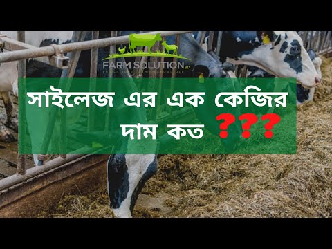 ভিডিও: একটি শস্য সাইলোর দাম কত?