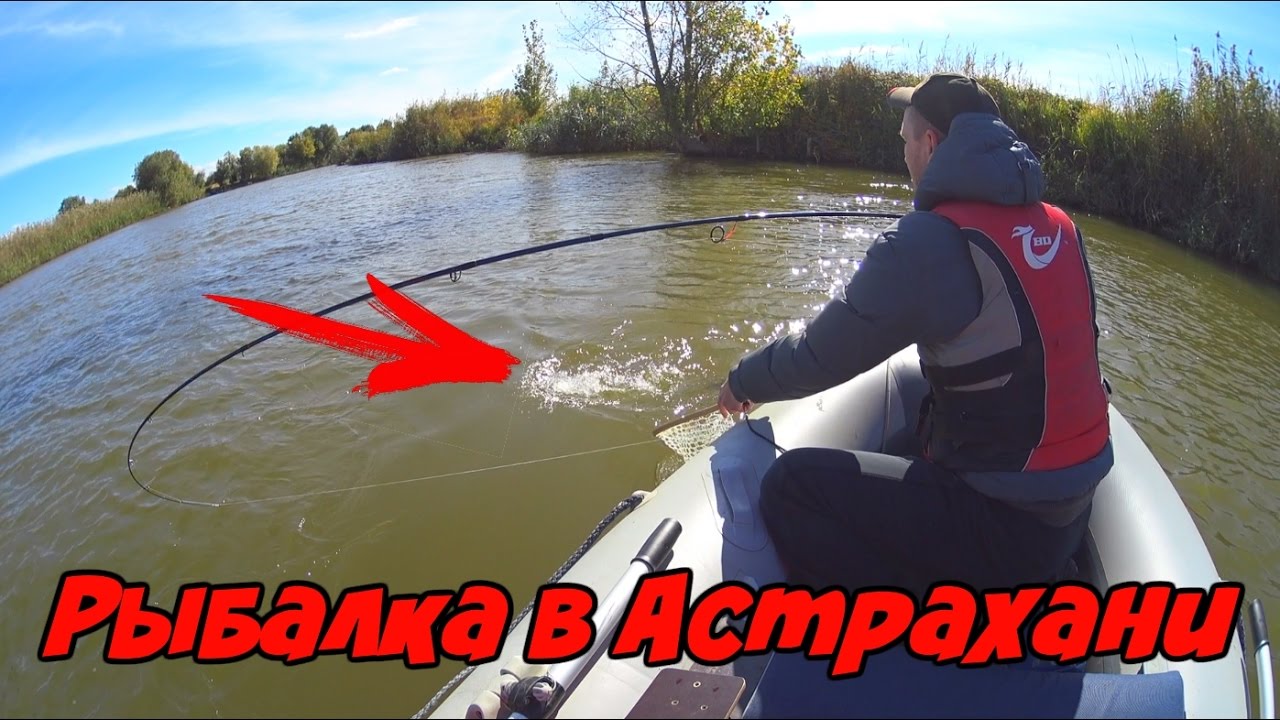 Рыбалка в Астрахани. Ушли в отрыв у затонувшего дерева. Часть 1 - YouTube