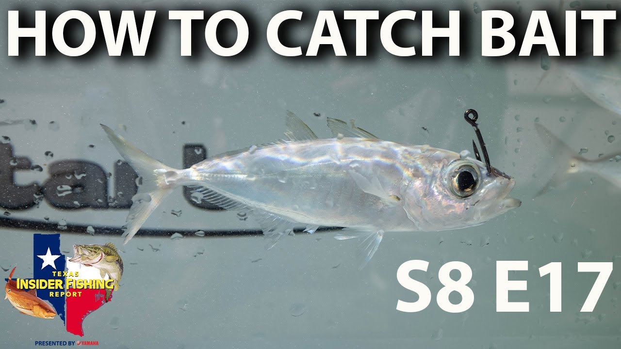 6 jointed section fishing lure HERCULES Multi Swimbaits Lures 6-Jointed Baits – HERCULES Fishing Basic Fish Finders — Available in snack size Seat:360 Swivel Seat sep24