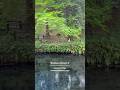 熊本白川水源 ② (吉見神社)- Kumamoto Shirakawa Spring(Yoshimi Shrine) - #白川水源 #熊本 #南阿蘇村 #吉見神社