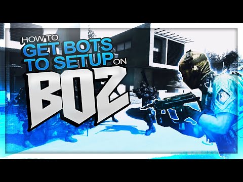 how to setup bots on mw3