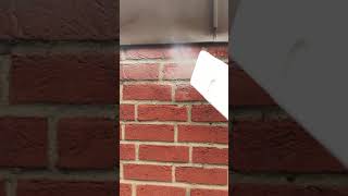 Efeureste Und Haftwurzeln Mit Trockeneis Entfernen