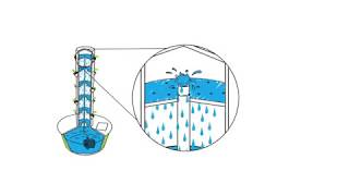 Vertical Aeroponic Technology  See How Tower Garden Works