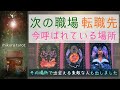 【タロット&ルノルマン】あなたが今呼ばれている転職先、仕事場はどんなところ?✨その場所で出会える素敵な人々の様子もお伝えします✨|mikura tarot