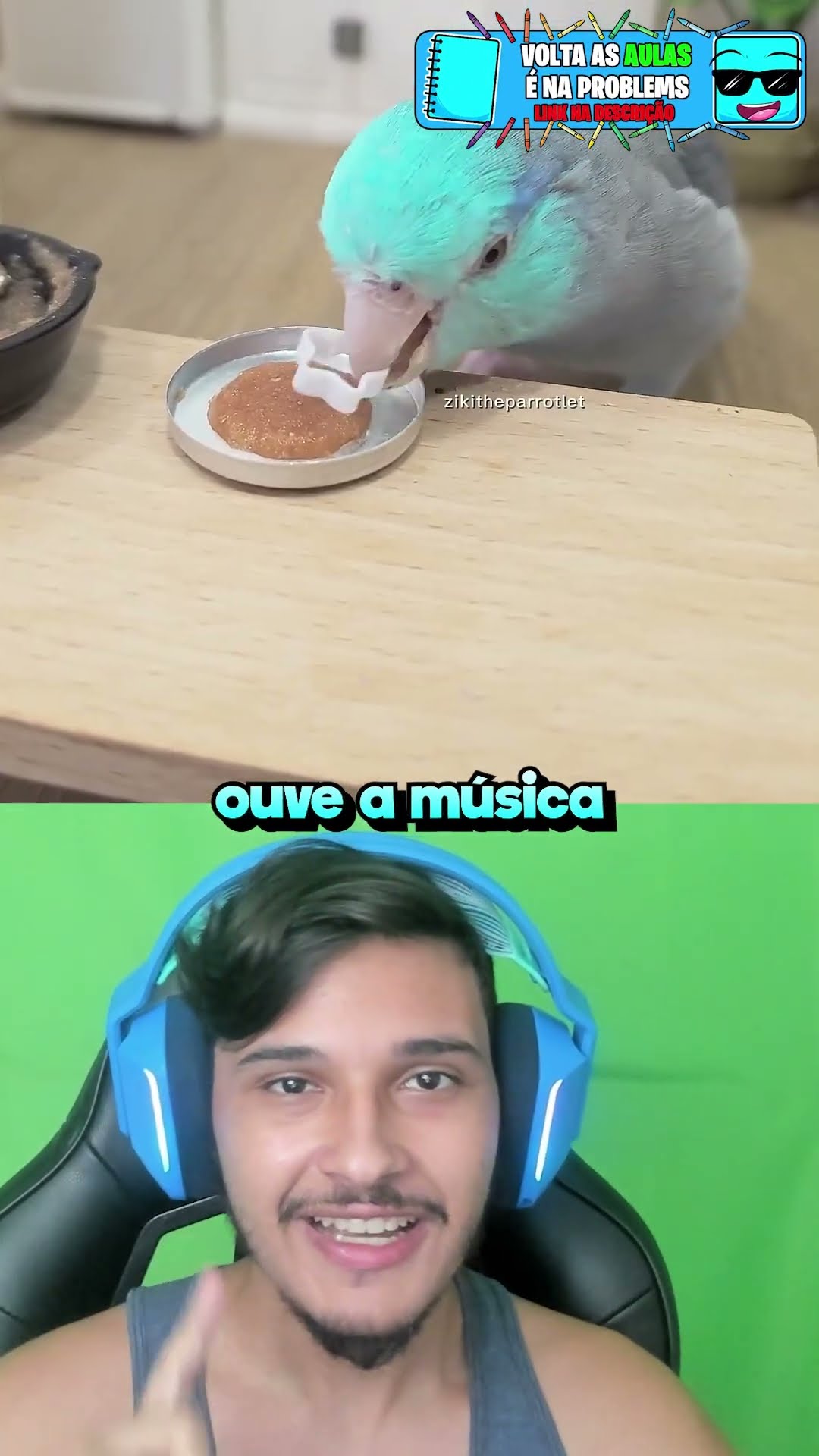 O Papagaio Mais Inteligente de Todos!