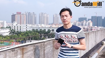 InFocus M810 4G Smartphone Reviews