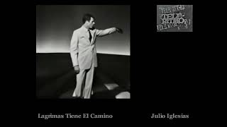 Lagrimas Tiene El Camino/Julio Iglesias 1969