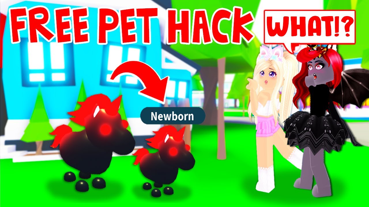 Hacking Adopt Me Roblox