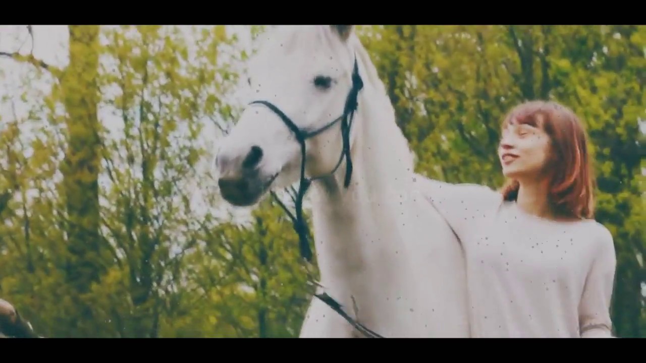 Polish Equestrian Youtubers 💙 YouTube