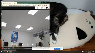 Split Screen on Laptop- Google Meet with Presentation/Class Materials Profile