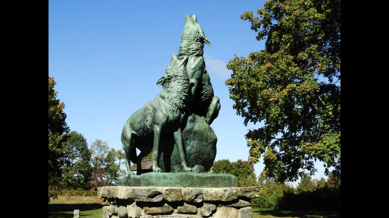 Collis P Huntington State Park, Redding, Connecticut, USA, Oct 8 2022