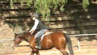 Flatwork 2