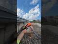How to chase out Reglet channels in solid walls for flashings. #waterproofing #fyp #sydney #experts