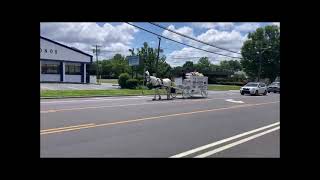 Final Farewell White Horse Funeral Carriage St Marys Cathedral Trenton to Ewing Cemetery July 9 2021