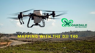 T40 Mapping