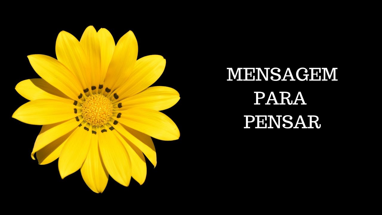 O Que Poderia Ser Mudado Em Minha Prática Avaliativa - RETOEDU