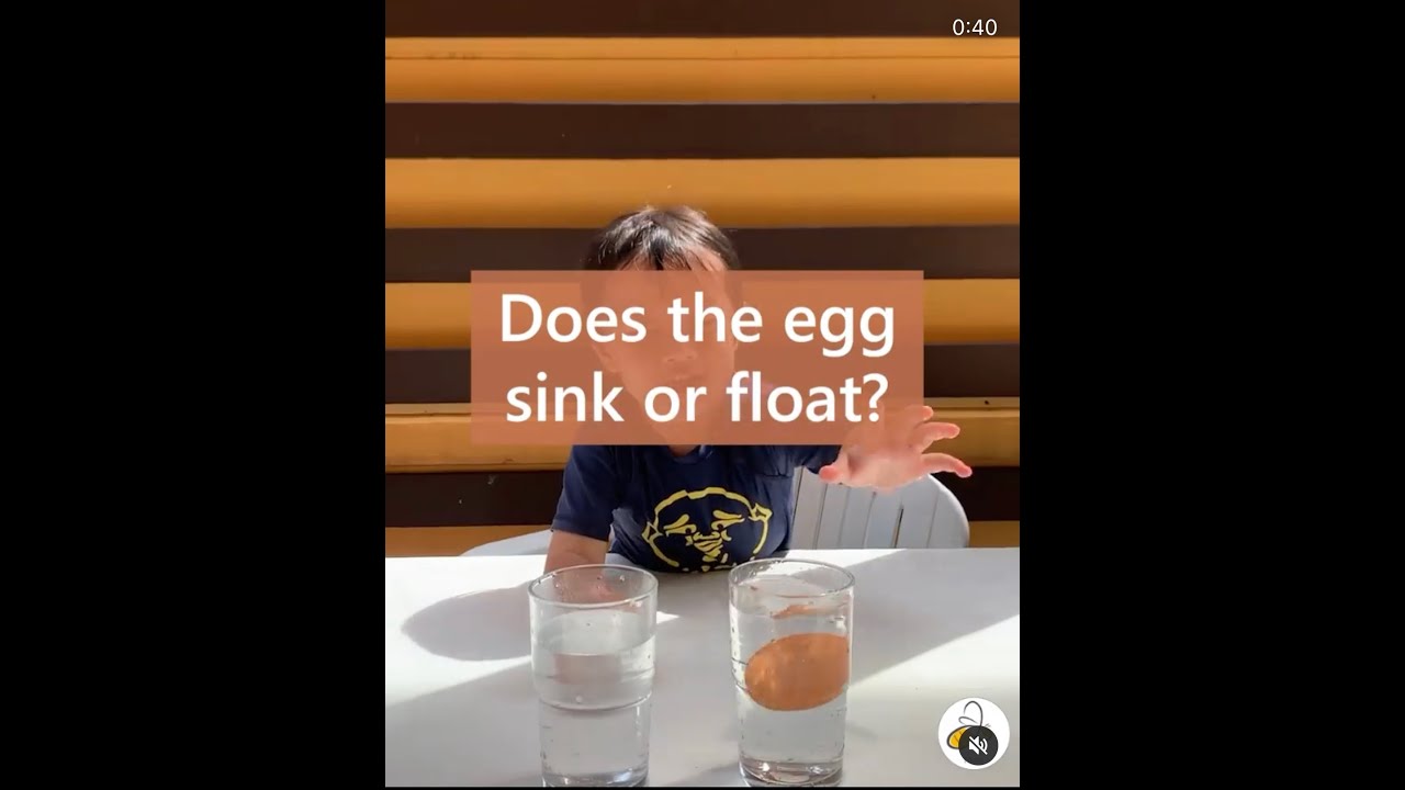 Does the egg sink or float in water? Fun Science Experiments for Kids!