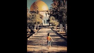 كيف بدأت قضية فلسطين
