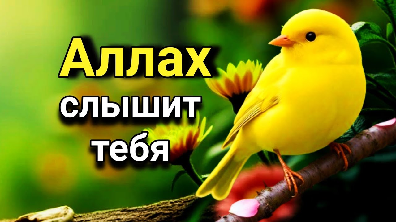 🌅🔑💖 ОЧЕНЬ СИЛЬНЫЙ ДУА -Аллах дарует выход из любой трудности! #дуа