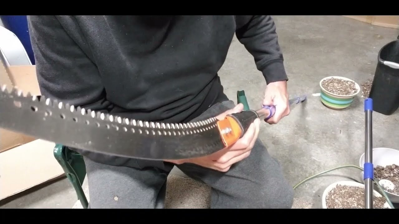 Hosko 10 FT pole saw on Amazon