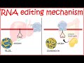 RNA editing overview