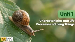 Grade 4 Science | Unit 1: Characteristics & Life Processes of Living Things | Introduction