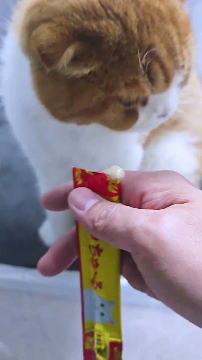 Let's sell it with CEO Na #3 @kiturami