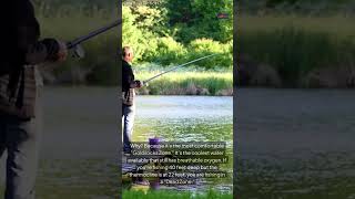 Thermocline Tactics: Where Bass Hide During the Dog Days of Summer #bassfishing #fishing