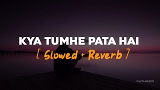 Kya Tumhe Pata Hai | Slowed & Reverb | Udit Narayan | Pujita Musics Thumb