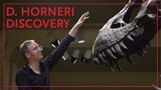 Dr Thomas Carr Introduces the Daspletosaurus Horneri