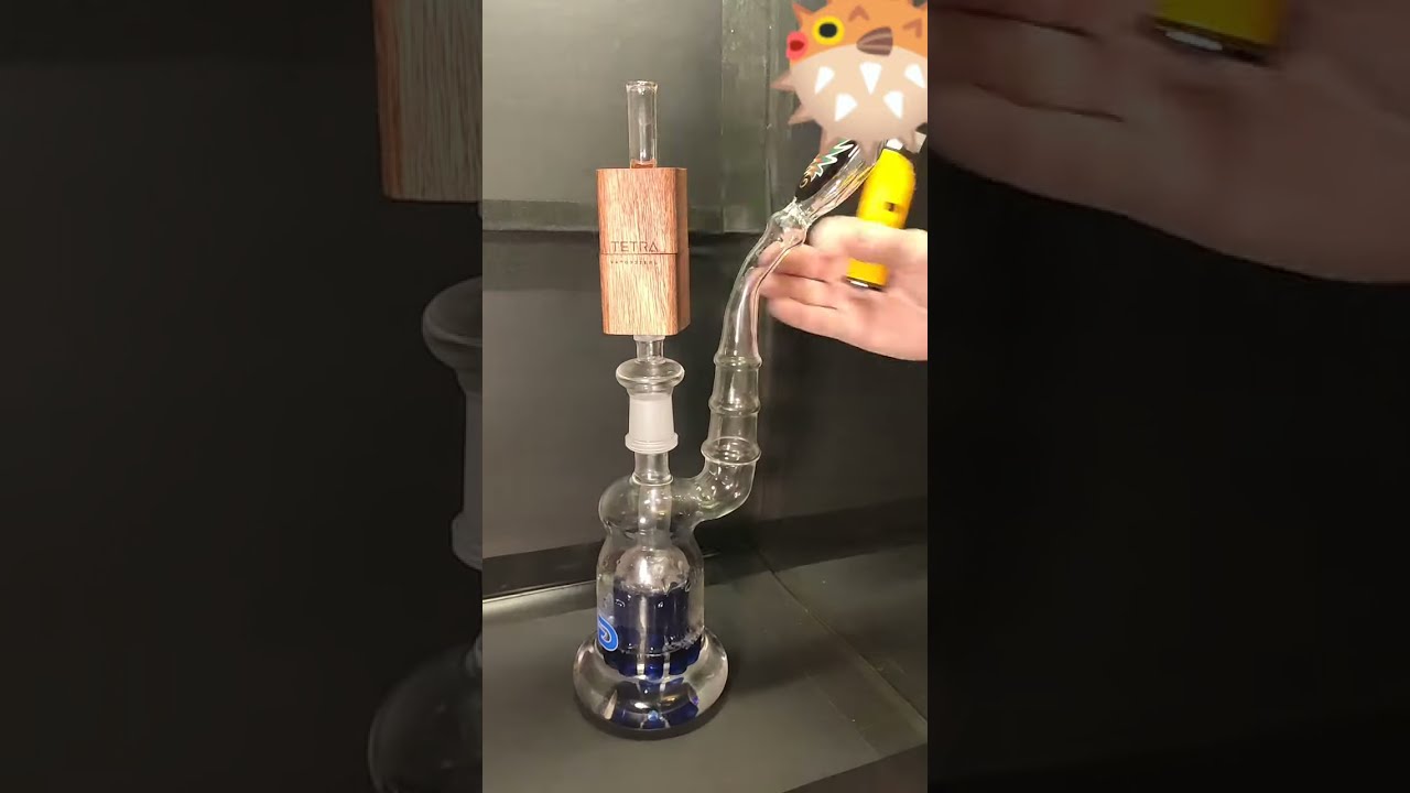 Tetra Hydro by DynaBox & Grace Glass Duck + Jobon
