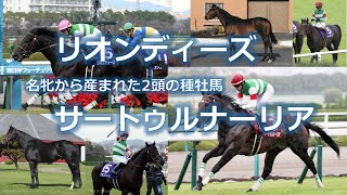 名牝シーザリオから産まれた2頭の種牡馬　リオンディーズとサートゥルナーリア