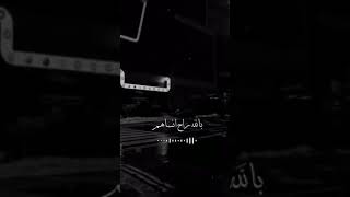 اغنية لاتحجي بيهم ياكلب عفناهم🖤😭