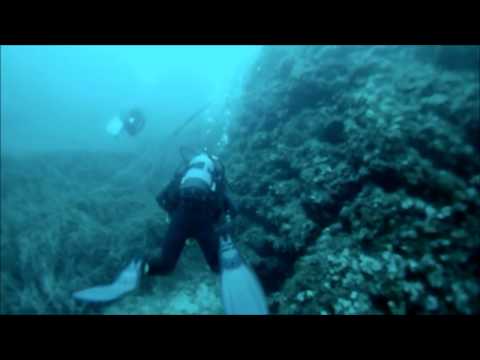 Kalamitsi dive 100913